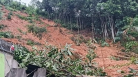 Yên Bái: Mưa lớn, sạt lở đất làm 2 vợ chồng tử vong