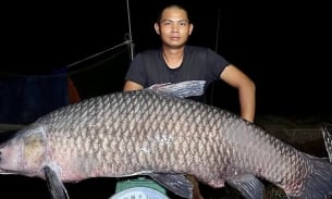 Nhóm cần thủ ở Nghệ An câu được cá trăm đen nặng 41kg