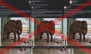 Vườn thú Hà Nội phủ nhận tin đồn chỉ còn một cá thể voi, bị xích không đi quá được 2 bước chân