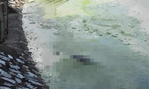 Hải Phòng: Phát hiện người phụ nữ chết bất thường ở hồ Quần Ngựa