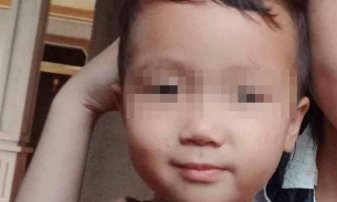 Đưa chó nghiệp vụ tìm kiếm bé trai 2 tuổi mất tích ở Nghệ An