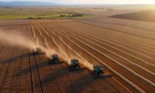 Nga thông báo chuẩn bị thu hoạch lúa mì lớn nhất từ trước đến nay