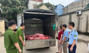 Hưng Yên: Ngăn chặn kịp thời 230 kg thịt lợn bốc mùi hôi thối đang trên đường đi tiêu thụ
