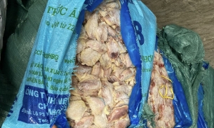 Hà Nội: Phát hiện gần 01 tấn cánh gà không rõ nguồn gốc