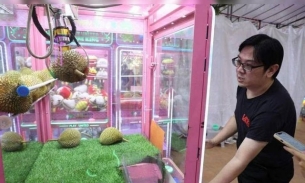 Video: Độc lạ máy 'gắp sầu riêng' thay thế máy gắp thú bông tại Singapore