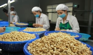 Những mặt hàng nào của Việt Nam đang 'làm mưa làm gió' trên thị trường quốc tế