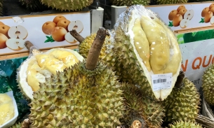 'Ngôi sao sáng' của mặt hàng trái cây Việt xuất khẩu dự kiến mang 1 tỷ USD về trong năm 2023