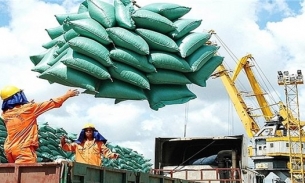 EL Nino tác động đến lương thực toàn cầu, nhiều nước tăng mua gạo Việt vài chục lần