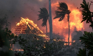 Hawaii: Cháy rừng kinh hoàng nhất lịch sử khiến ít nhất 36 người thiệt mạng