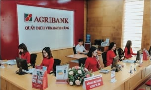 Agribank: Rao bán giá bất động sản thế chấp của Hoa hậu Doanh nhân Thành đạt 2018