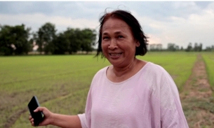 Giá gạo tăng vọt gieo hy vọng và rắc rối cho nông dân Thái Lan mắc nợ