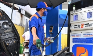 Dự báo giá xăng dầu có thể giảm 1.000 đồng vào ngày mai (13/11)