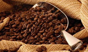 Giá cà phê Việt Nam xuất khẩu đạt ngưỡng giá cao nhất trong 30 năm qua