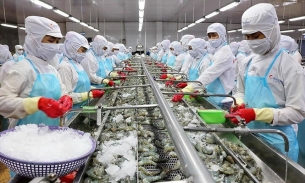 Xuất khẩu thủy sản Việt Nam trong tháng 11/2023 đạt gần 840 triệu USD