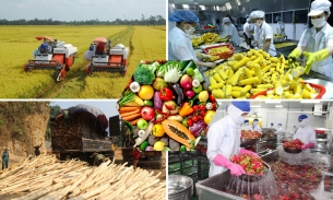 Đến 2030, xuất khẩu sản phẩm trồng trọt đạt hơn 26 tỷ USD