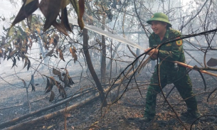 Quảng Nam: Nỗ lực dập lửa vụ cháy hơn 20ha rừng