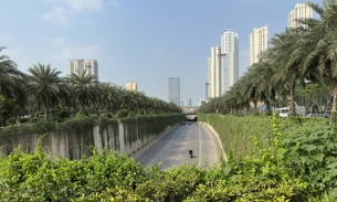 Giữa cái nắng nóng như thiêu đốt, Hà Nội vẫn có những con đường xanh mát, hạ nhiệt 'khẩn cấp' cho người đi đường