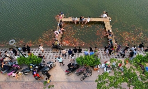 Hà Nội: Buộc dừng kinh doanh quán cà phê, di dời 8 tấn cá koi khỏi hồ Đầm Đông
