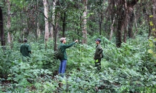 Trưởng trạm kiểm lâm ở Đắk Lắk tử vong trong rừng, trên người có vết đạn