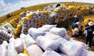 Dự báo, xuất khẩu gạo của Việt Nam năm 2023 sẽ đạt gần 4 tỷ USD