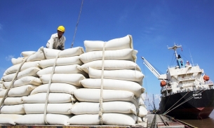 Kỳ vọng xuất khẩu gạo Việt Nam lập kỷ lục mới 8 triệu tấn, tiếp tục neo ở vùng giá cao
