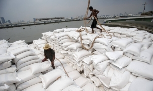 Myanmar sẽ hạn chế xuất khẩu tất cả các loại gạo từ đầu tháng 9