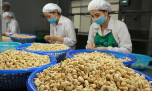 Xuất khẩu đứng đầu thế giới, Việt Nam vẫn chi hơn 2 tỷ USD để nhập khẩu loại hạt này