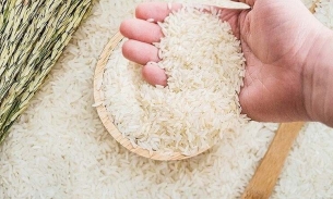 Giá gạo xuất khẩu Việt tăng trở lại sau chính sách mới của Philippines