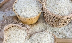 Vì sao quốc gia tỷ dân phải nhập khẩu từ Việt Nam gần 870.000 tấn gạo trong 9 tháng đầu năm