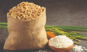 Giá gạo xuất khẩu liên tục tăng mạnh,  lên mức 663 USD/tấn