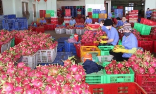 Ngành rau quả năm 2024 có thể bứt phá hơn ở thị trường Trung Quốc