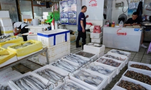 Fukushima: Thủ tướng Nhật Bản cam kết hỗ trợ ngành đánh cá sau lệnh cấm hải sản của Trung Quốc