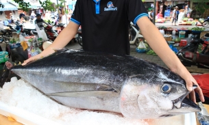 'Cơ hội vàng' cho loại cá biển ngon nhất của Việt Nam đẩy mạnh xuất khẩu sang Anh