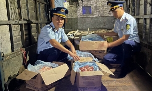 Cao Bằng: Phát hiện xe tải vận chuyển 800 kg chân giò lợn vào các huyện biên giới
