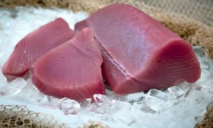 Cá ngừ Việt Nam xuất khẩu sang một quốc gia vùng Nam Mỹ trong tháng 8 đạt gần 1,3 triệu USD