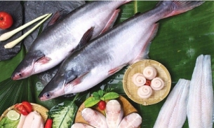 Khối EU nhập khẩu hàng nghìn tấn cá tra phile đông lạnh Việt Nam