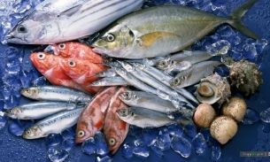 Nga tăng cường xuất khẩu hải sản khai thác