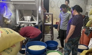 SỐC: Gạo 'Séng cù xanh' nổi tiếng của Mường Khương được 'hô biến' từ màu lá dứa