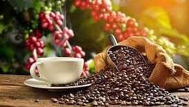 Xuất khẩu cà phê nửa đầu tháng 12 tiếp tục tăng mạnh