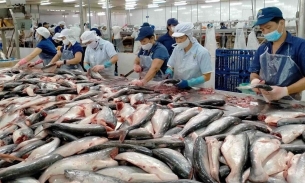 Quốc gia rộng lớn thứ 5 thế giới chi 97 triệu USD mua cá tra Việt Nam