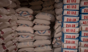 Giá lúa mì tăng cao nhất trong hơn 2 tháng sau lệnh cấm xuất khẩu của Ấn Độ