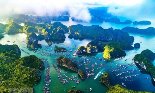 Lượng tìm kiếm về du lịch Việt Nam tăng trưởng top đầu thế giới