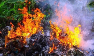 Quảng Nam: Cụ ông 83 tuổi tử vong trong lúc gom rác đem đốt
