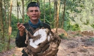 Nghệ An: Tìm thấy thi thể nghi là nam thanh niên mất tích khi vào rừng săn ong