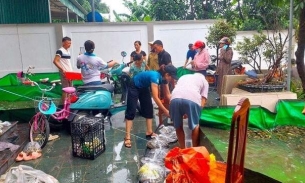Người dân chung tay 'giải cứu' trang trại lươn bị ngập lụt trong đêm ở Nghệ An