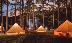 Đà Lạt: Tăng cường quản lý, rà soát hoạt động cắm trại