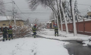 Đông Âu: Bão tuyết càn quét nghiêm trọng, ít nhất 10 người thiệt mạng