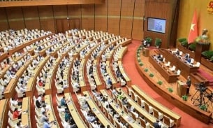 Ngày 21/11, Quốc hội thảo luận về công tác phòng, chống tham nhũng năm 2023