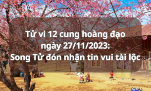 Tử vi 12 cung hoàng đạo ngày 27/11/2023: Song Tử đón nhận tin vui tài lộc
