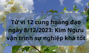 Tử vi 12 cung hoàng đạo ngày 8/12/2023: Kim Ngưu vận trình sự nghiệp khá tốt